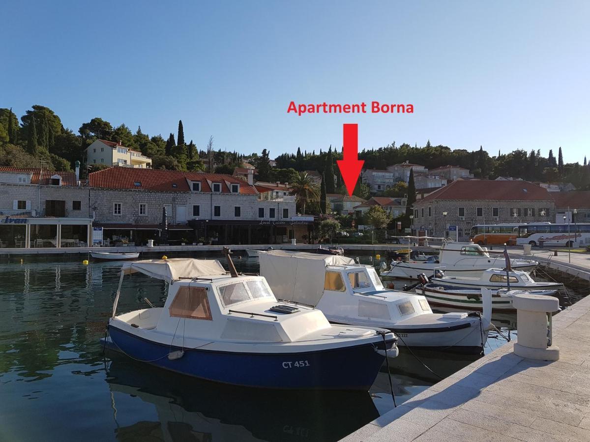 Apartment Borna Cavtat Exterior photo